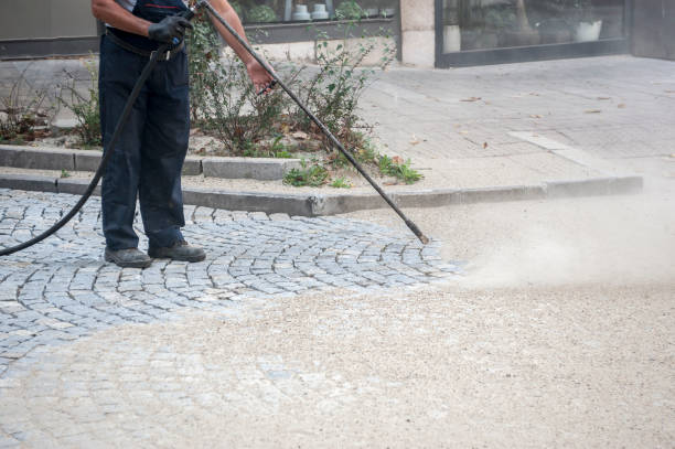 Best House Exterior Washing  in Dunsmuir, CA